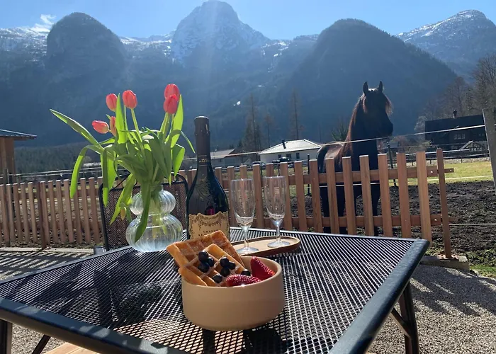 Iris Обертраун