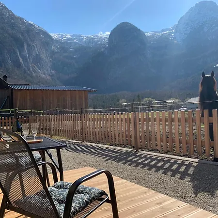 Lägenhet Iris Obertraun