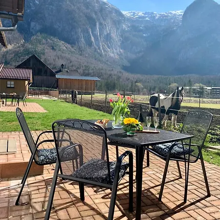Iris Apartment Obertraun
