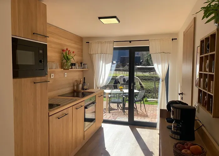 Iris Apartment Obertraun