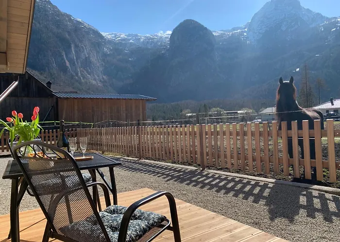 Apartment Iris Obertraun